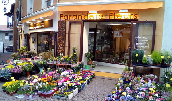 Ext&eacute;rieur du magasin vue d'ensemble