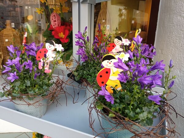 Compositions printani&egrave;res