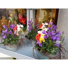 Compositions printani&egrave;res