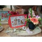 Id&eacute;es cadeaux fleurs et d&eacute;cos