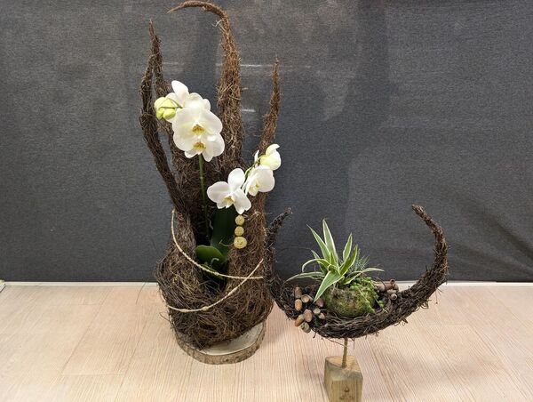 Compositions originales