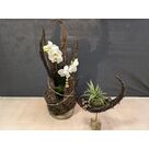 Compositions originales