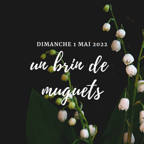 Mercredi 1er mai, offrez un brin de muguet