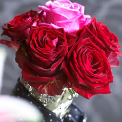 Bient&ocirc;t la Saint Valentin�