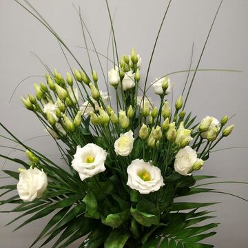 Bouquet de lisianthus blanc
