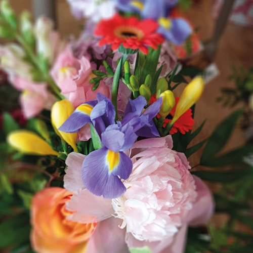 Commandez sur la boutique